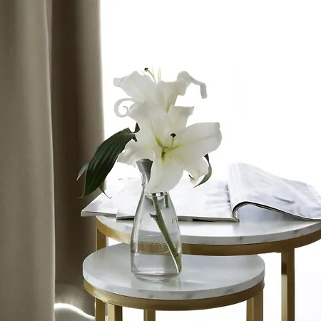 Apartament Szwarc By Elite *